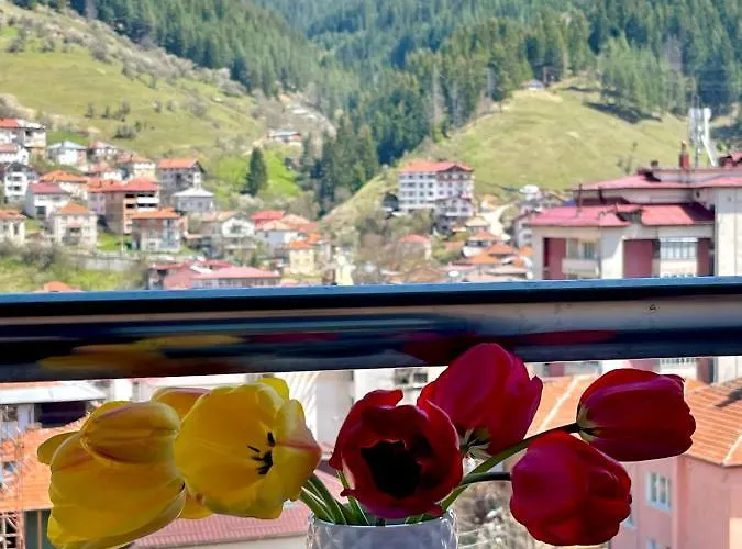 мансарда с фантастични гледки и две спални